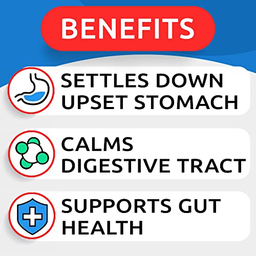 Pumpkin for Dogs - 8.1oz Powdered Fiber Supplement and Stool Softener - Treat Diarrhea, Constipation, Upset Stomach, Food Sensitivity - Improve Digestion - Made in USA - Image 7