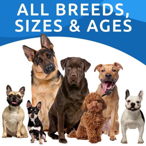 Pumpkin for Dogs - 8.1oz Powdered Fiber Supplement and Stool Softener - Treat Diarrhea, Constipation, Upset Stomach, Food Sensitivity - Improve Digestion - Made in USA - Image 4